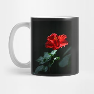 Hibiscus Mug